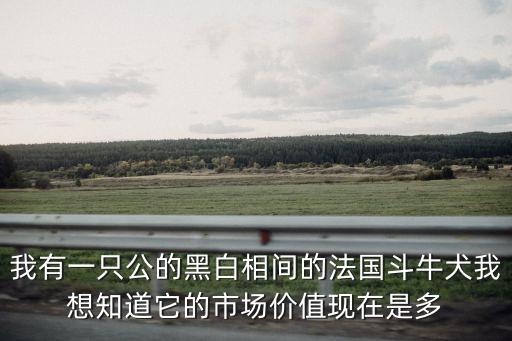 我有一只公的黑白相間的法國斗牛犬我想知道它的市場價值現(xiàn)在是多