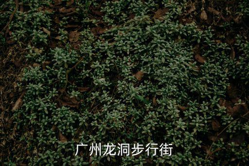 廣州龍洞步行街