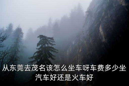 從東莞去茂名該怎么坐車呀車費多少坐汽車好還是火車好