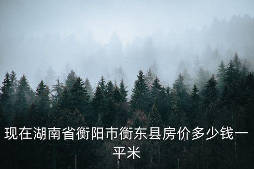 現(xiàn)在湖南省衡陽市衡東縣房價多少錢一平米
