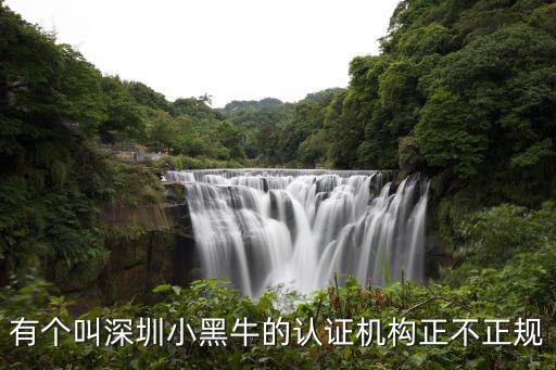 有個叫深圳小黑牛的認證機構正不正規