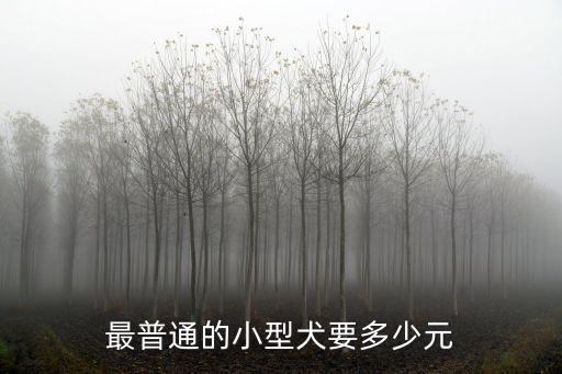 最普通的小型犬要多少元