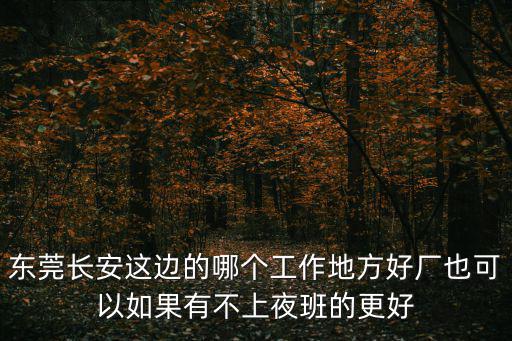 東莞長安這邊的哪個工作地方好廠也可以如果有不上夜班的更好