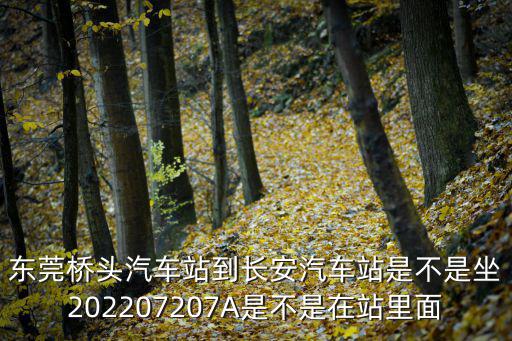 東莞202停運了嗎，東莞橋頭汽車站到長安汽車站是不是坐202207207A是不是在站里面