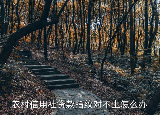 農(nóng)村信用社貸款指紋對不上怎么辦