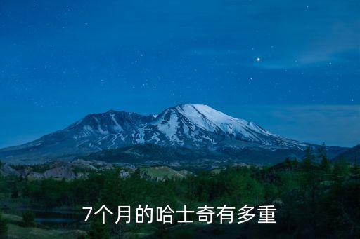 7個月的哈士奇有多重