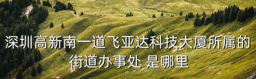 深圳高新南一道飛亞達(dá)科技大廈所屬的 街道辦事處 是哪里