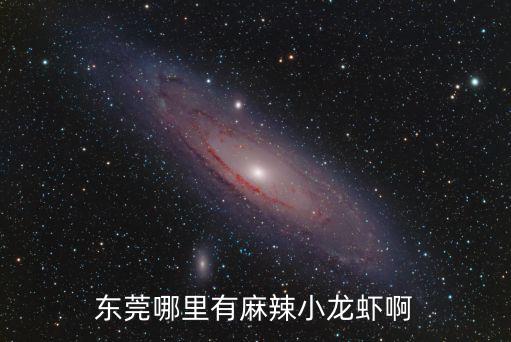 東莞大朗小龍蝦市場(chǎng)，東莞哪里有龍蝦買(mǎi)