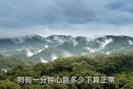 狗狗一分鐘心跳多少下算正常