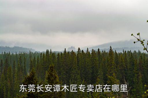 東莞長安譚木匠專賣店在哪里