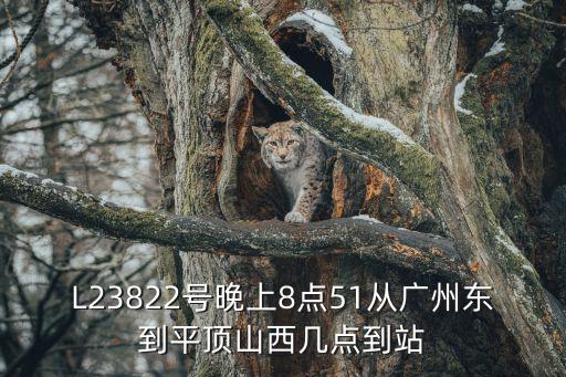 L23822號晚上8點51從廣州東到平頂山西幾點到站