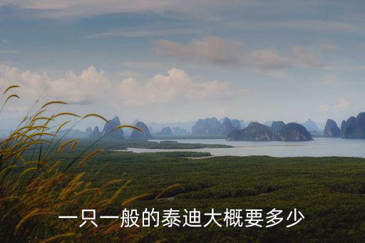 一只一般的泰迪大概要多少