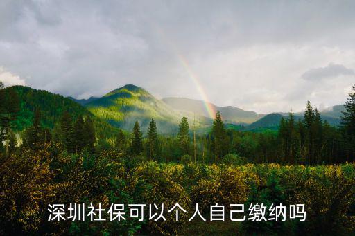 深圳社?？梢詡€人自己繳納嗎