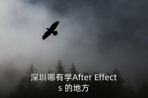 深圳哪有學After Effects 的地方