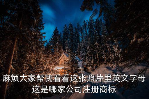 麻煩大家幫我看看這張照片里英文字母這是哪家公司注冊商標