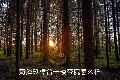 菏澤玖樟臺一樓帶院怎么樣