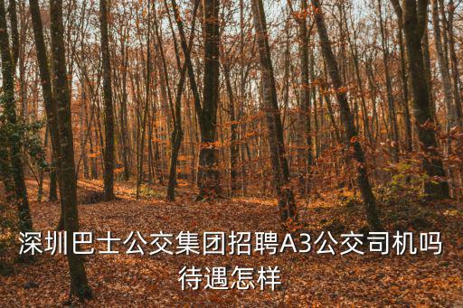 深圳巴士公交集團招聘A3公交司機嗎待遇怎樣