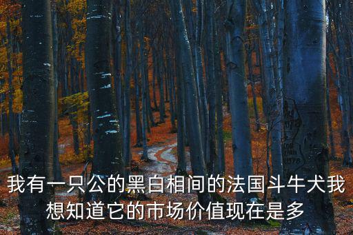 黑色斗牛犬價格多少，我有一只公的黑白相間的法國斗牛犬我想知道它的市場價值現在是多