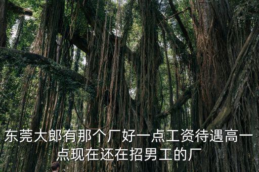 東莞大郎有那個廠好一點工資待遇高一點現在還在招男工的廠