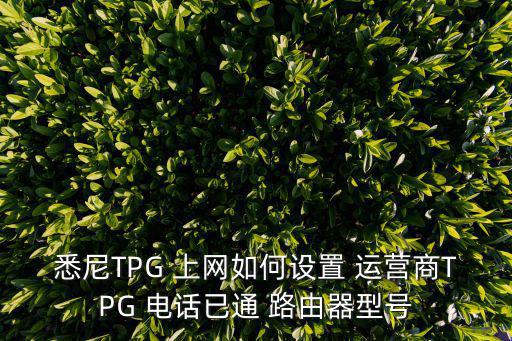 悉尼TPG 上網如何設置 運營商TPG 電話已通 路由器型號