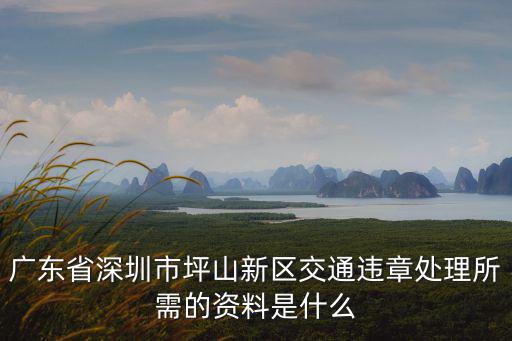 廣東省深圳市坪山新區交通違章處理所需的資料是什么