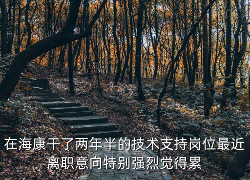 在海康干了兩年半的技術支持崗位最近離職意向特別強烈覺得累