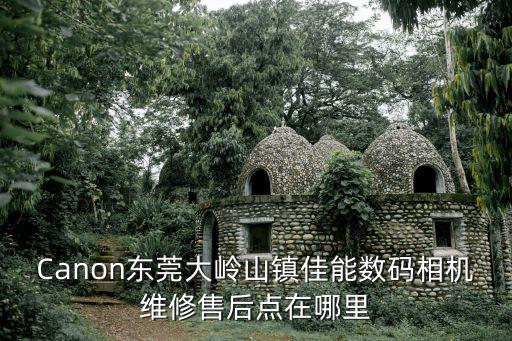 Canon東莞大嶺山鎮(zhèn)佳能數(shù)碼相機(jī)維修售后點(diǎn)在哪里