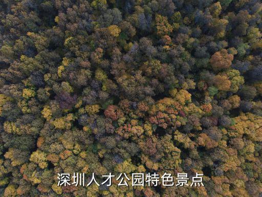 深圳人才公園特色景點
