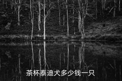 茶杯泰迪犬多少錢一只