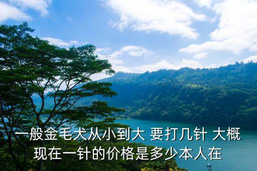 金毛打疫苗一次多少錢，一般金毛犬從小到大 要打幾針 大概現在一針的價格是多少本人在