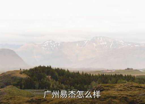 廣州易杰怎么樣