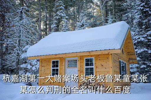杭嘉湖第一大賭案場頭老板魯某童某張某怎么判刑的全名叫什么百度