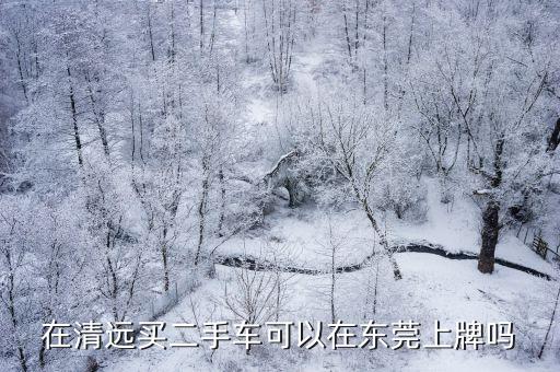 東莞車天車地沈平，東莞汽車