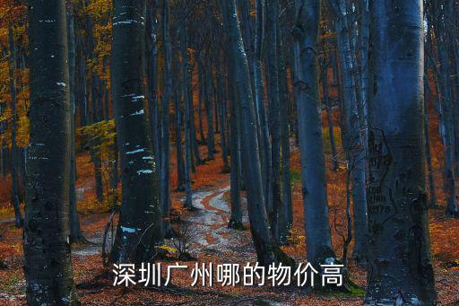 深圳廣州哪的物價高