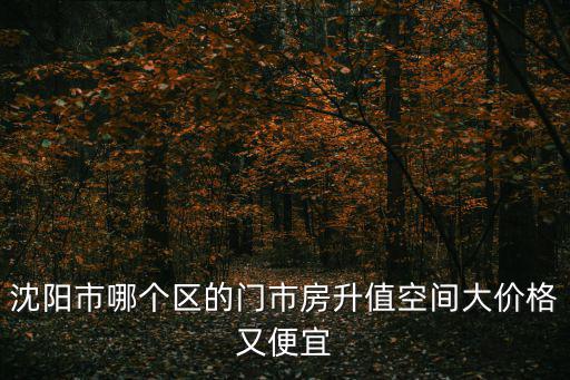 沈陽市哪個區(qū)的門市房升值空間大價格又便宜