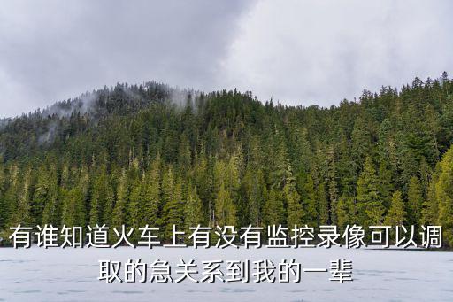 有誰知道火車上有沒有監控錄像可以調取的急關系到我的一輩