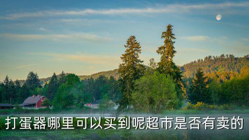 深圳哪里有賣打蛋器，打半自動蛋器在實體店買哪有