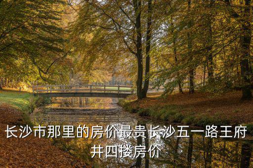 五一哪個城市房價最受歡迎，長沙市那里的房價最貴長沙五一路王府井四摟房價