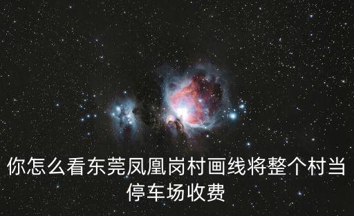 你怎么看東莞鳳凰崗村畫(huà)線(xiàn)將整個(gè)村當(dāng)停車(chē)場(chǎng)收費(fèi)