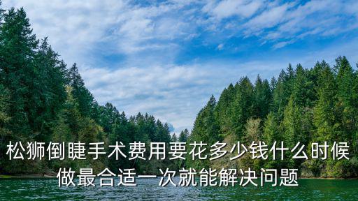 松獅倒睫手術(shù)費(fèi)用要花多少錢什么時(shí)候做最合適一次就能解決問題