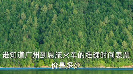 誰知道廣州到恩施火車的準確時間表票價是多少