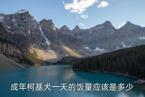成年柯基犬一天的飯量應(yīng)該是多少