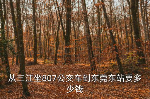 從三江坐807公交車到東莞東站要多少錢
