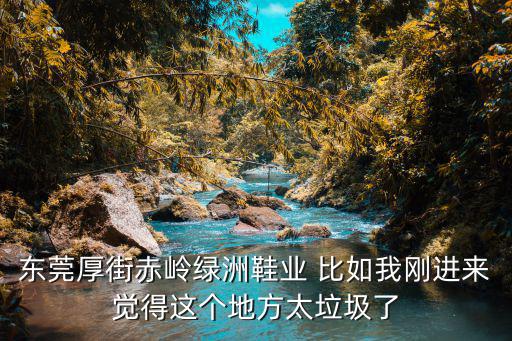 東莞厚街赤嶺綠洲鞋業(yè) 比如我剛進(jìn)來覺得這個地方太垃圾了