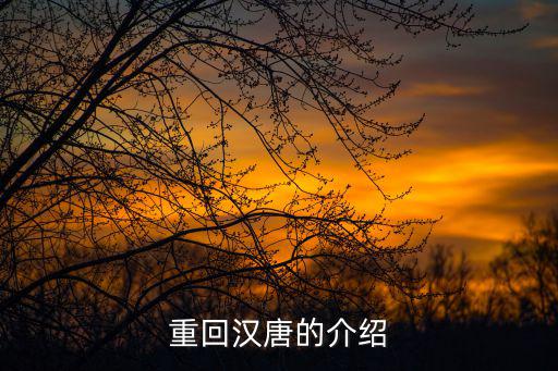 重回漢唐的介紹