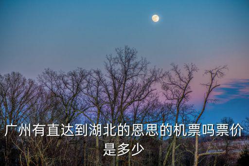 廣州有直達(dá)到湖北的恩思的機(jī)票嗎票價(jià)是多少