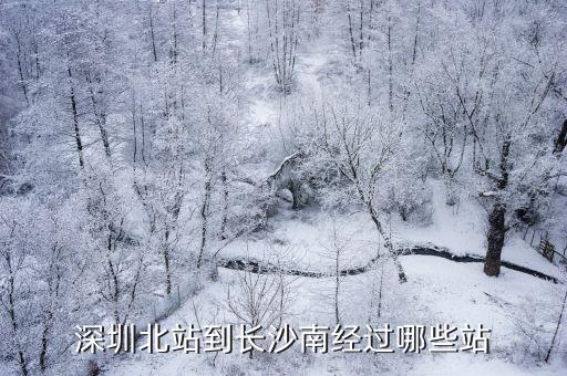 深圳北站到長沙南經過哪些站