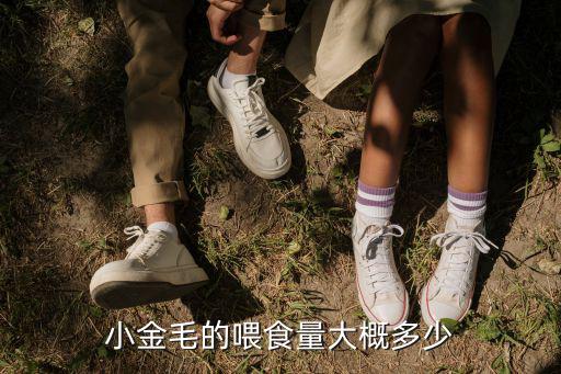 5斤金毛喂多少，五個半月的金毛喂食量是多少