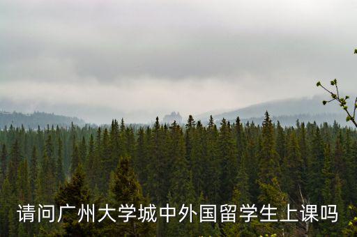 請問廣州大學城中外國留學生上課嗎