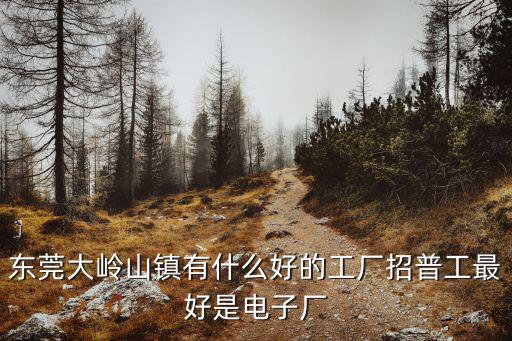 東莞大嶺山鎮有什么好的工廠招普工最好是電子廠